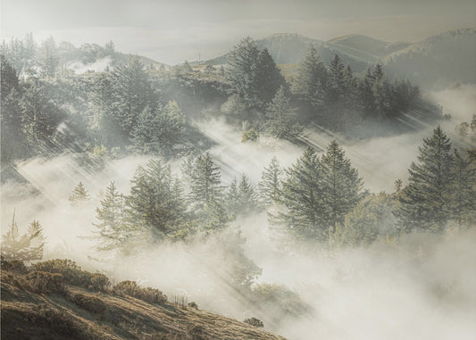 Silver White Winter that Melts into Spring | Poster