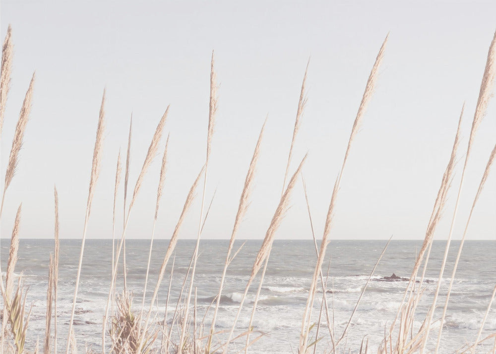 Ranta_Vass_002 | Canvastaulut