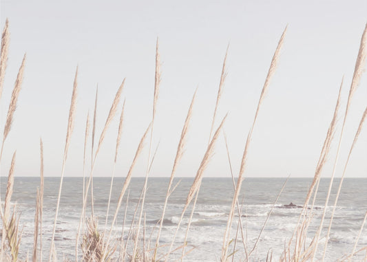 Strand_Vass_002 | Lærredsbilleder