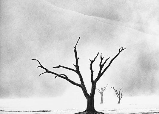 Namibia: Erämaan henki | Canvastaulut