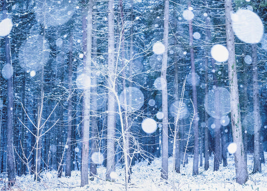 Lumimaisema | Valokuvatapetit