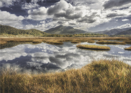 Eeden | Valokuvatapetit