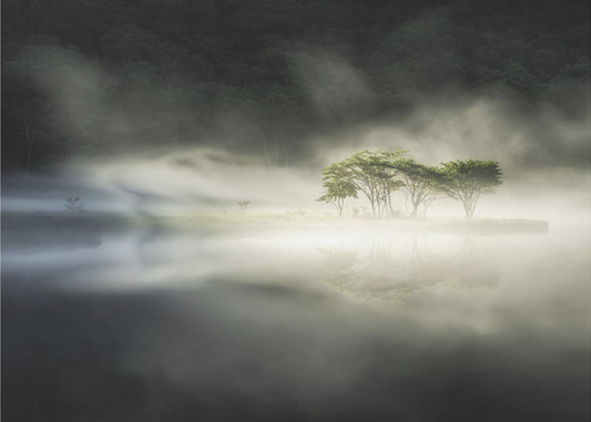 Yin ja yang | Valokuvatapetit