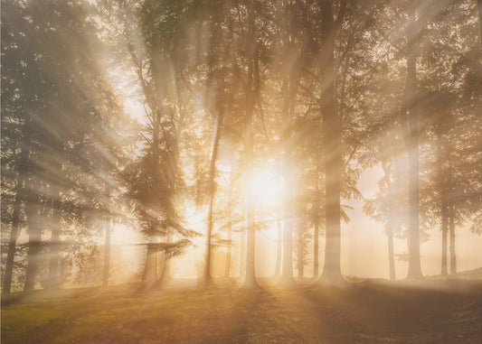 Valon sokaisema | Valokuvatapetit