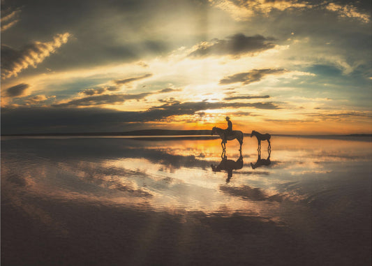 Nimetön | Canvastaulut