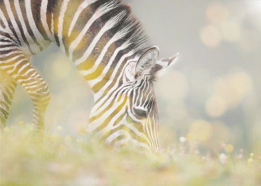 DESAYUNO | Papel Pintado Fotográfico