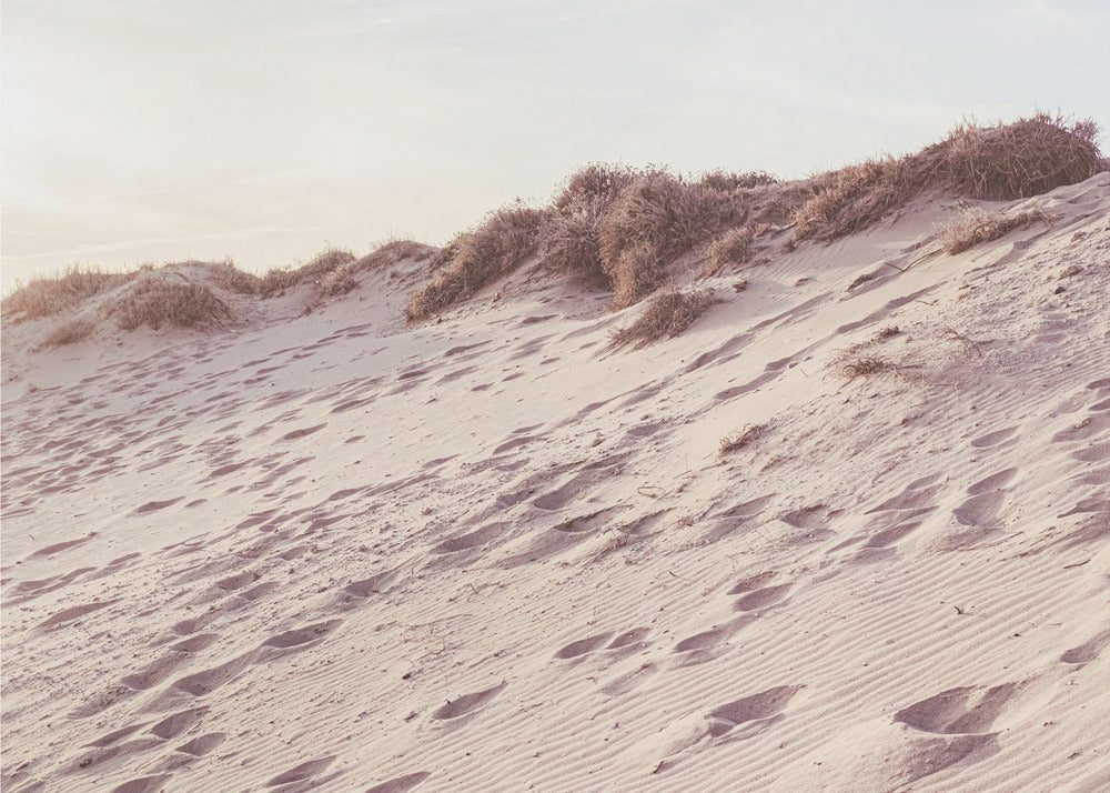 Ranta_009 | Valokuvatapetit