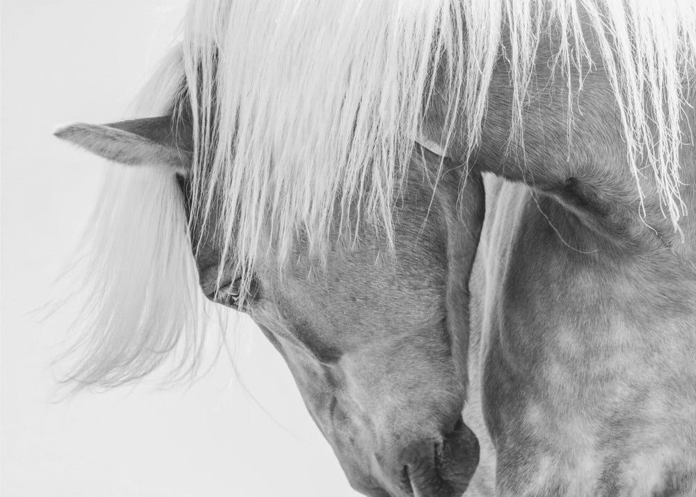 Puolivuoti-muotokuva | Valokuvatapetit