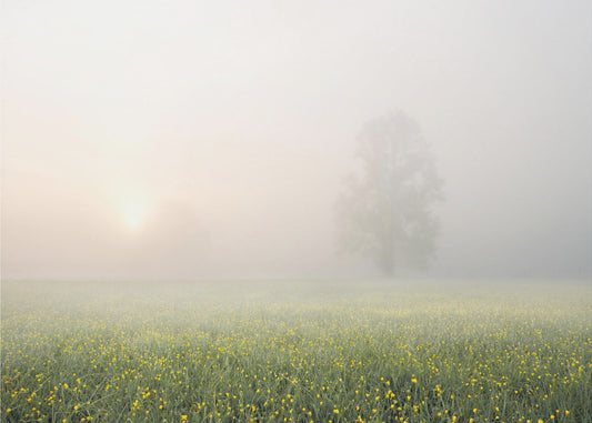 Kevään koristelu | Valokuvatapetit