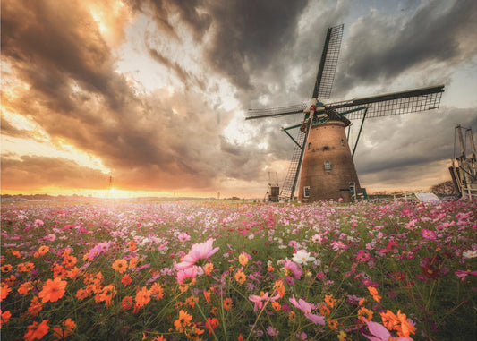 Magnífico mundo de las flores | Impresiones en Lienzo