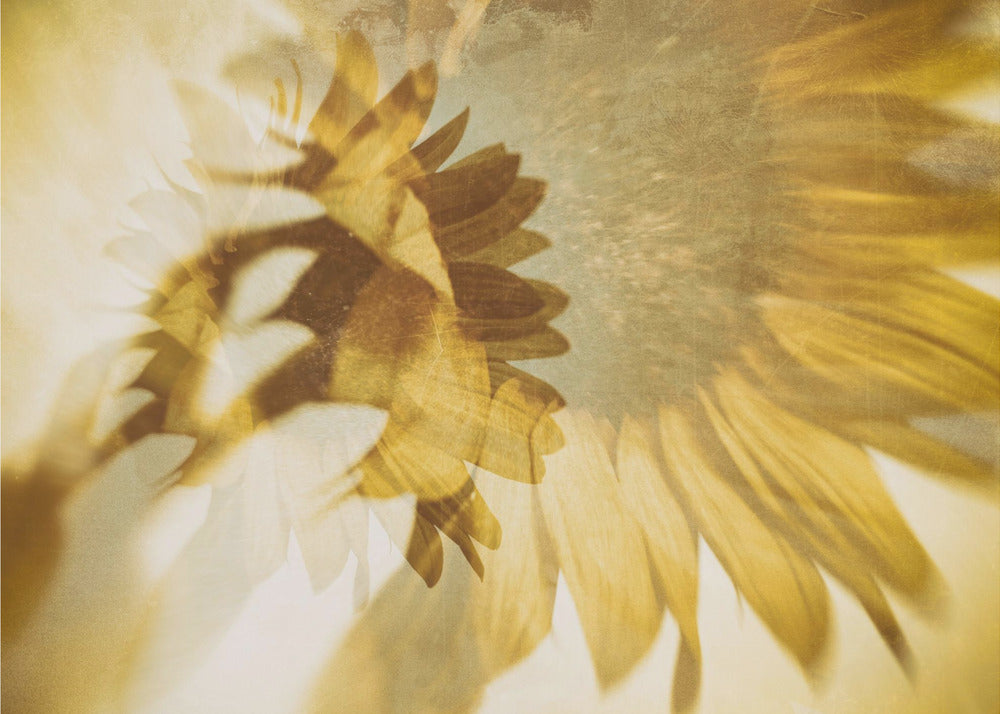 Igual que el sol | Papel Pintado Fotográfico