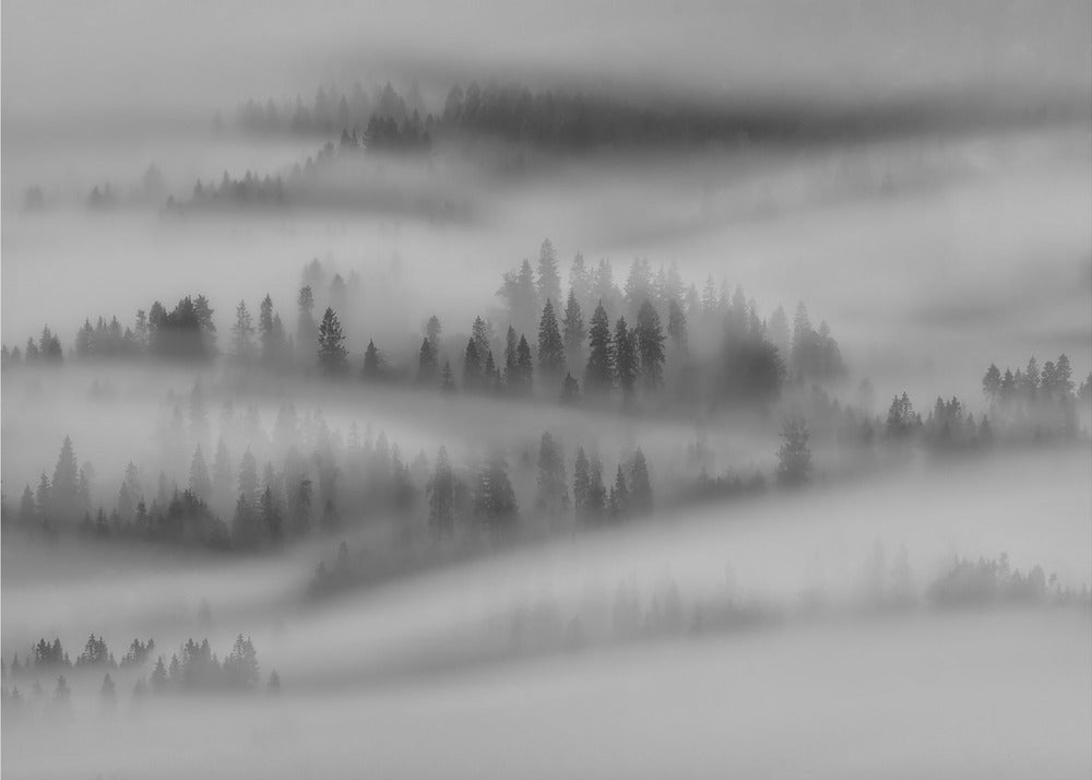 Herbstimpressionen | Fototapeten