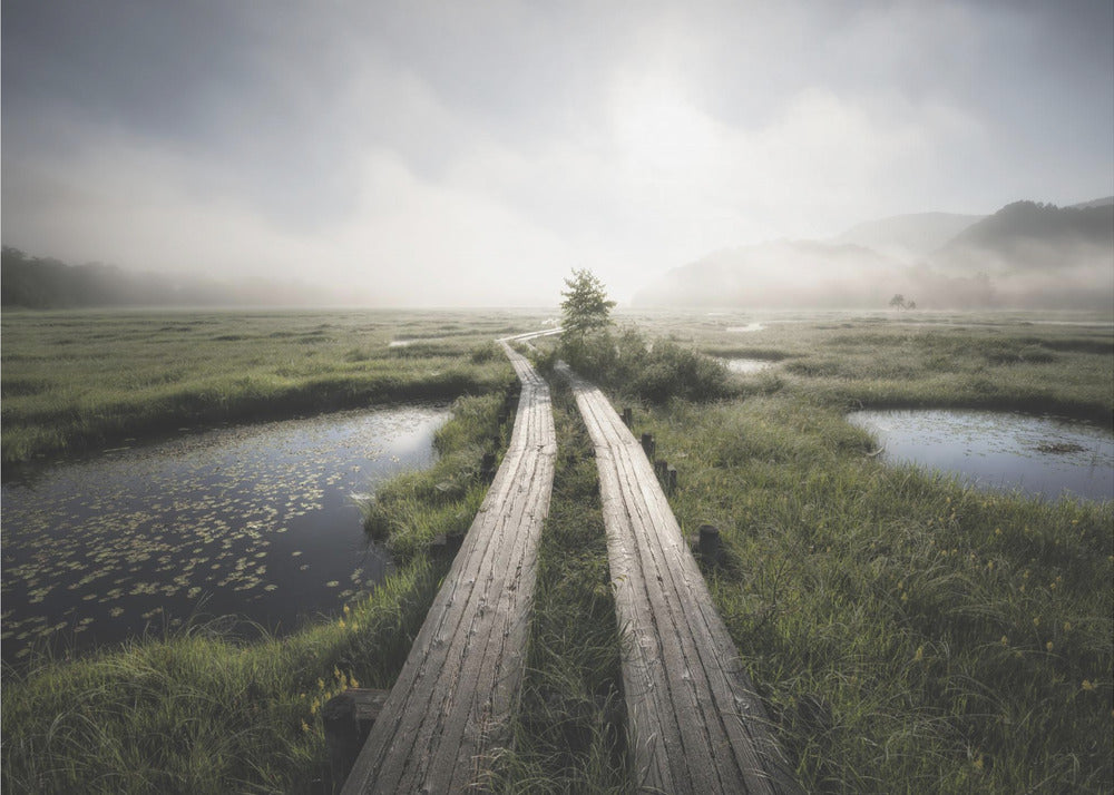 Nel mondo nebbioso | Carta da Parati Fotografica