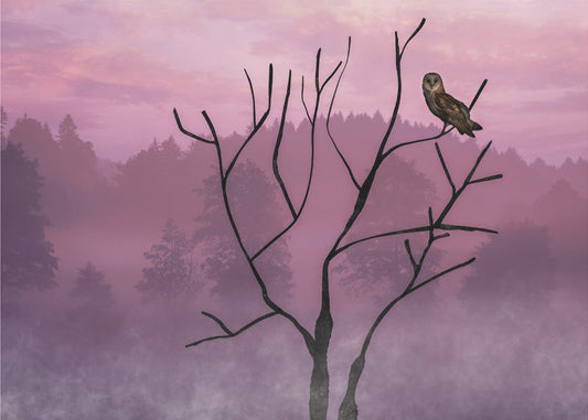 Cielo rosa en la mañana | Impresiones en Lienzo