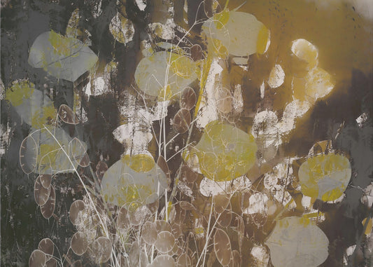 Rehellisyyden vaikutelma | Valokuvatapetit