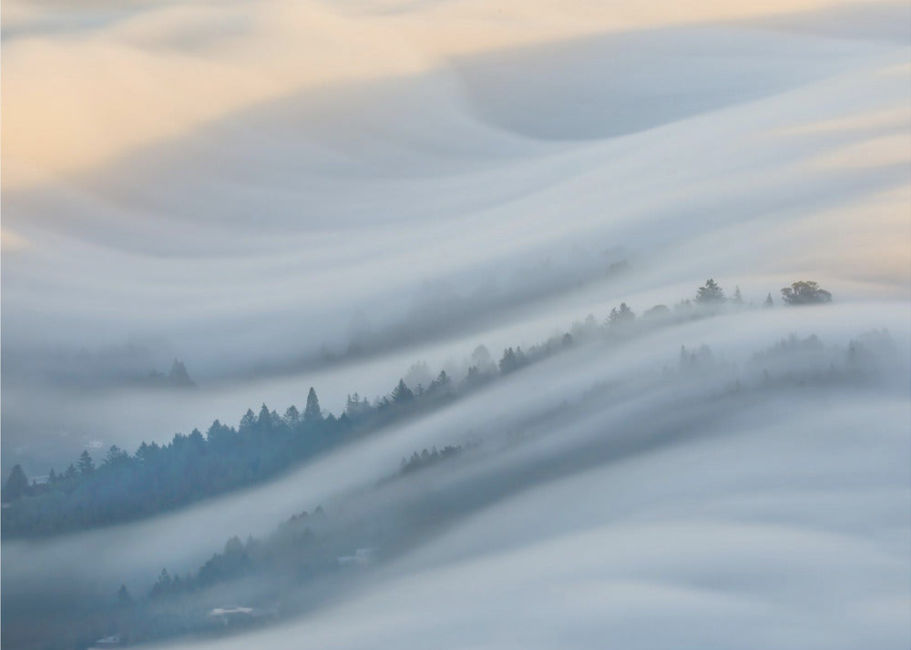 The Waves of Fogs | Wallpaper