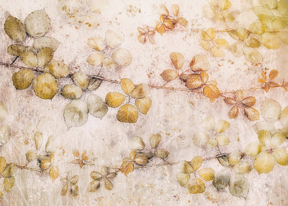 Lehtien väritys | Valokuvatapetit