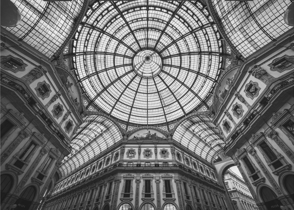 Encuentros Cercanos | Papel Pintado Fotográfico