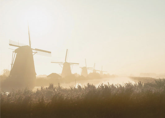 Kinderdijk | Carta da Parati Fotografica