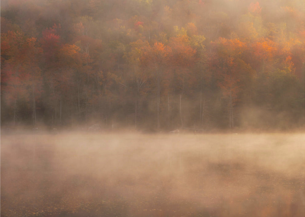 Picco dell'autunno | Carta da Parati Fotografica