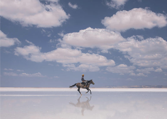 Słony Jeździec | Wydruki na łótnie