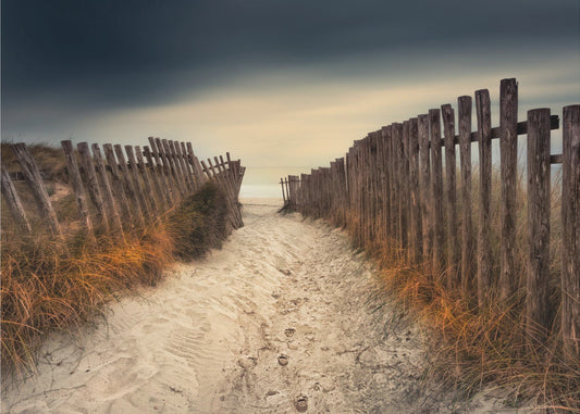 Ścieżka, która do ciebie doprowadziła | Wydruki na łótnie