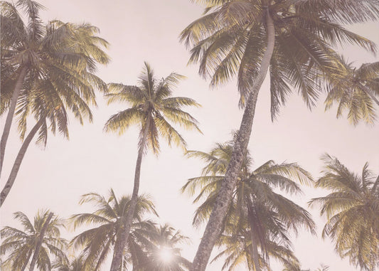 Punastuvia palmuja | Julisteet - Taidevedokset