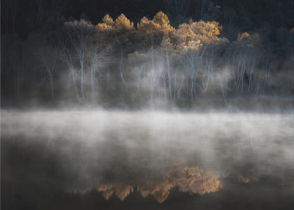 Attratti dalla luce del tardo autunno | Carta da Parati Fotografica
