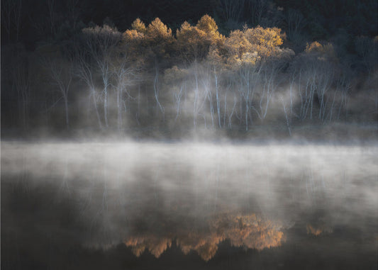 Myöhäisen syksyn valon houkuttelema | Valokuvatapetit