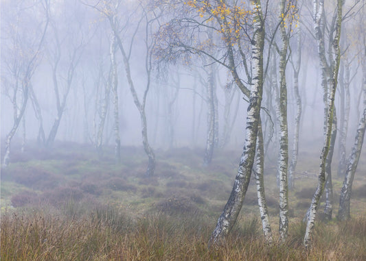 Nimetön | Valokuvatapetit