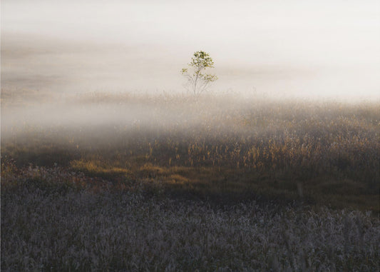 Erikoinen aika | Valokuvatapetit