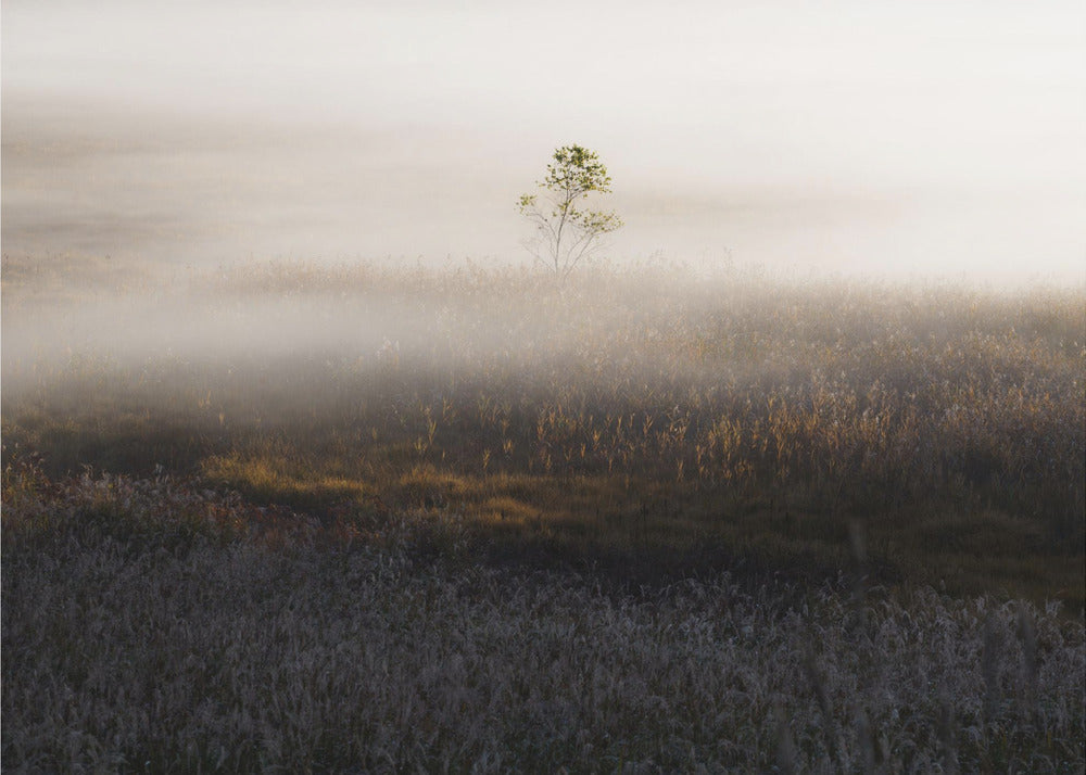 Tempo speciale | Carta da Parati Fotografica