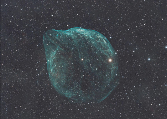 DELFIINISUMU - SHARPLESS 2-308 | Valokuvatapetit