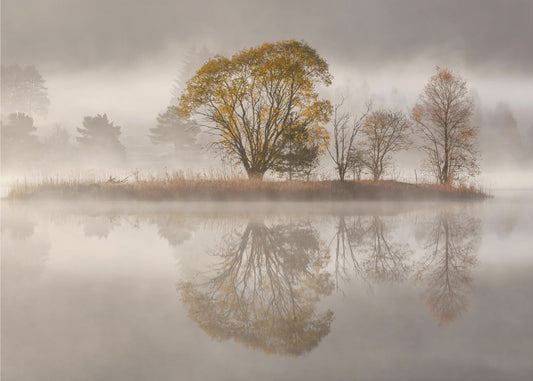 Sumuinen aamu | Valokuvatapetit