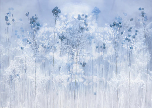 Icy blue | Wallpaper