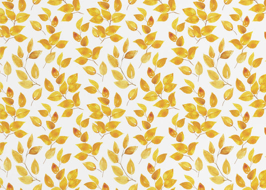 Hojas curvas | Papel Pintado Fotográfico