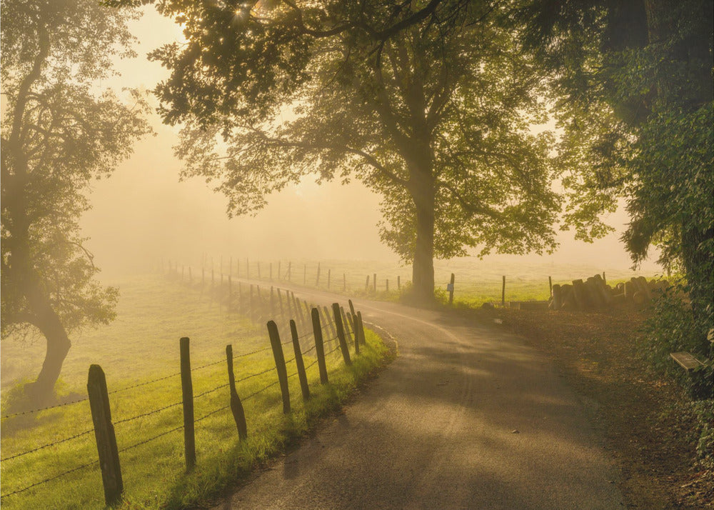 Morgenspaziergang | Fototapeten