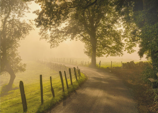 Aamukävely | Valokuvatapetit