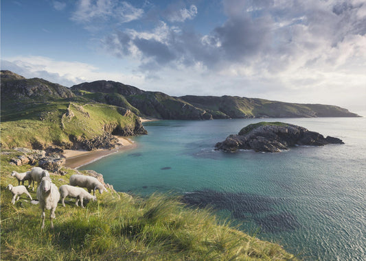 Wybrzeże Irlandii | Wydruki na łótnie