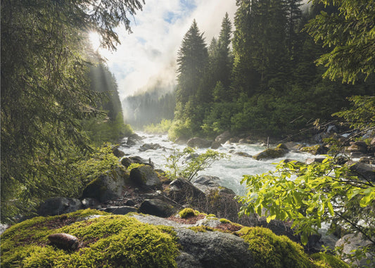 Frühlingsferien | Leinwand-Bilder
