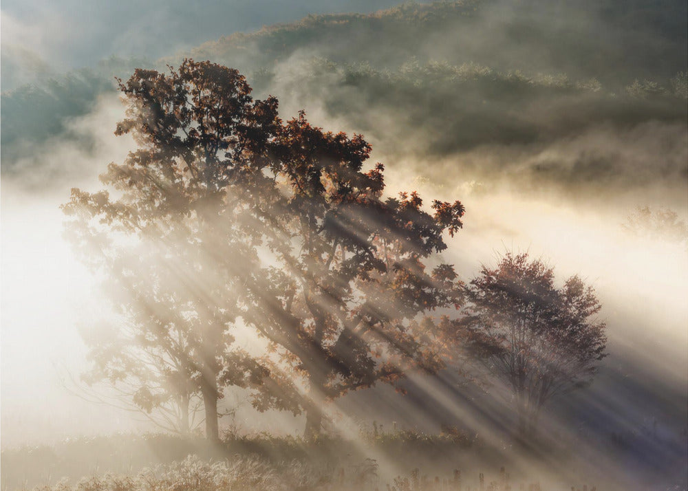 beam of light | Wallpaper