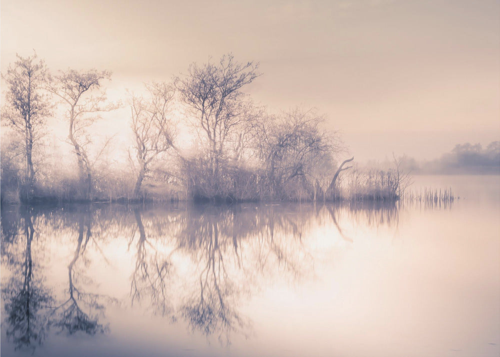 Kalter Morgen am Teich | Fototapeten