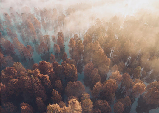 Syksy | Valokuvatapetit