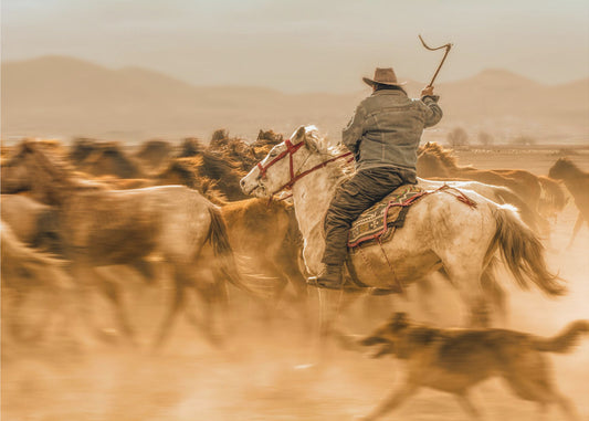 Villihevoset (eli villihevoset) | Canvastaulut