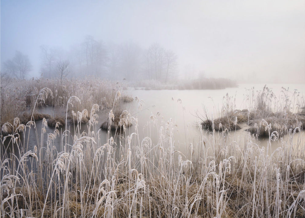 Winter in Bayern | Fototapeten