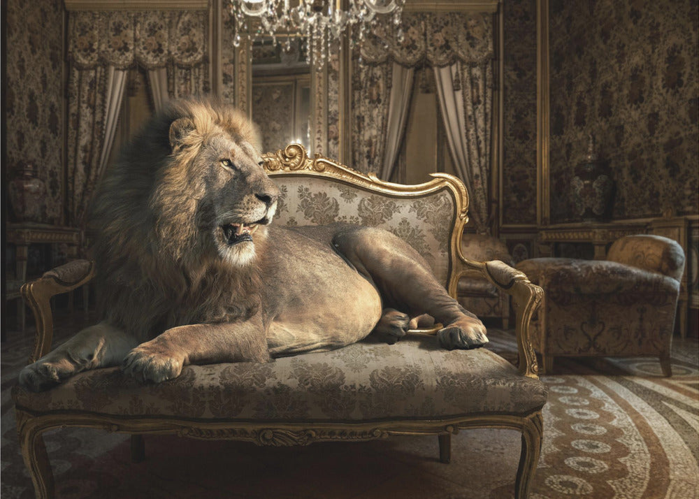 Palacio León | Impresiones en Lienzo