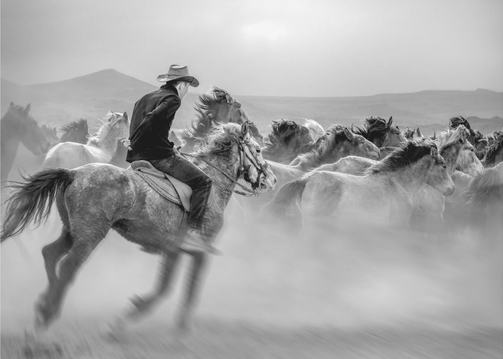Caballos salvajes (también conocidos como Wild Horses) | Impresiones en Lienzo
