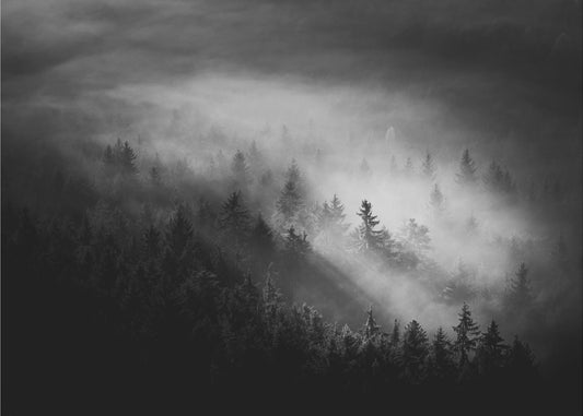 Sumuinen | Valokuvatapetit