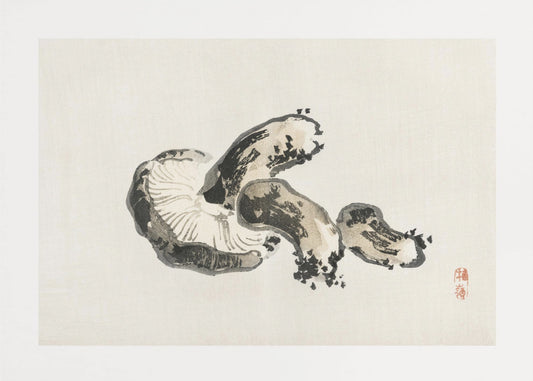 Grzyb Shiitake | Wydruki na łótnie