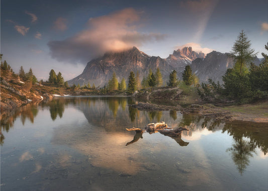 "WUNDERVOLLES LEBEN" | Poster